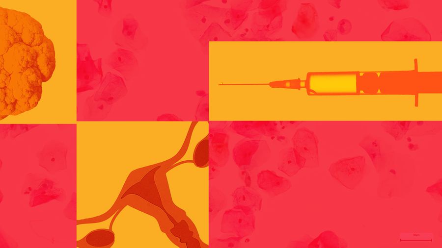 Everything You Need to Know About HPV