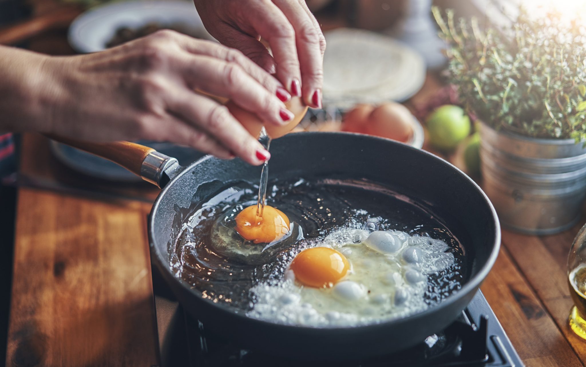 fried eggs