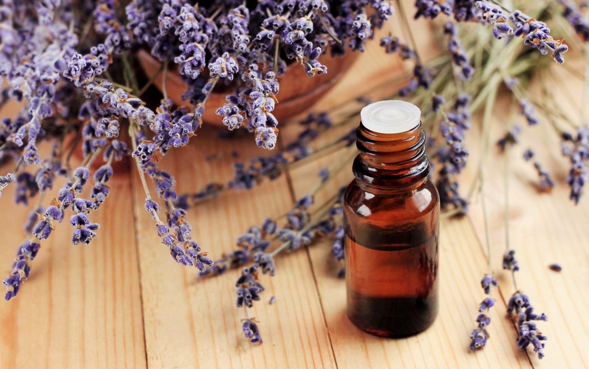 lavender oil